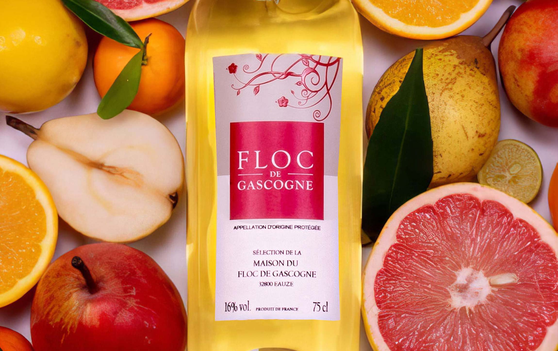 Floc-de-gascogne-gout