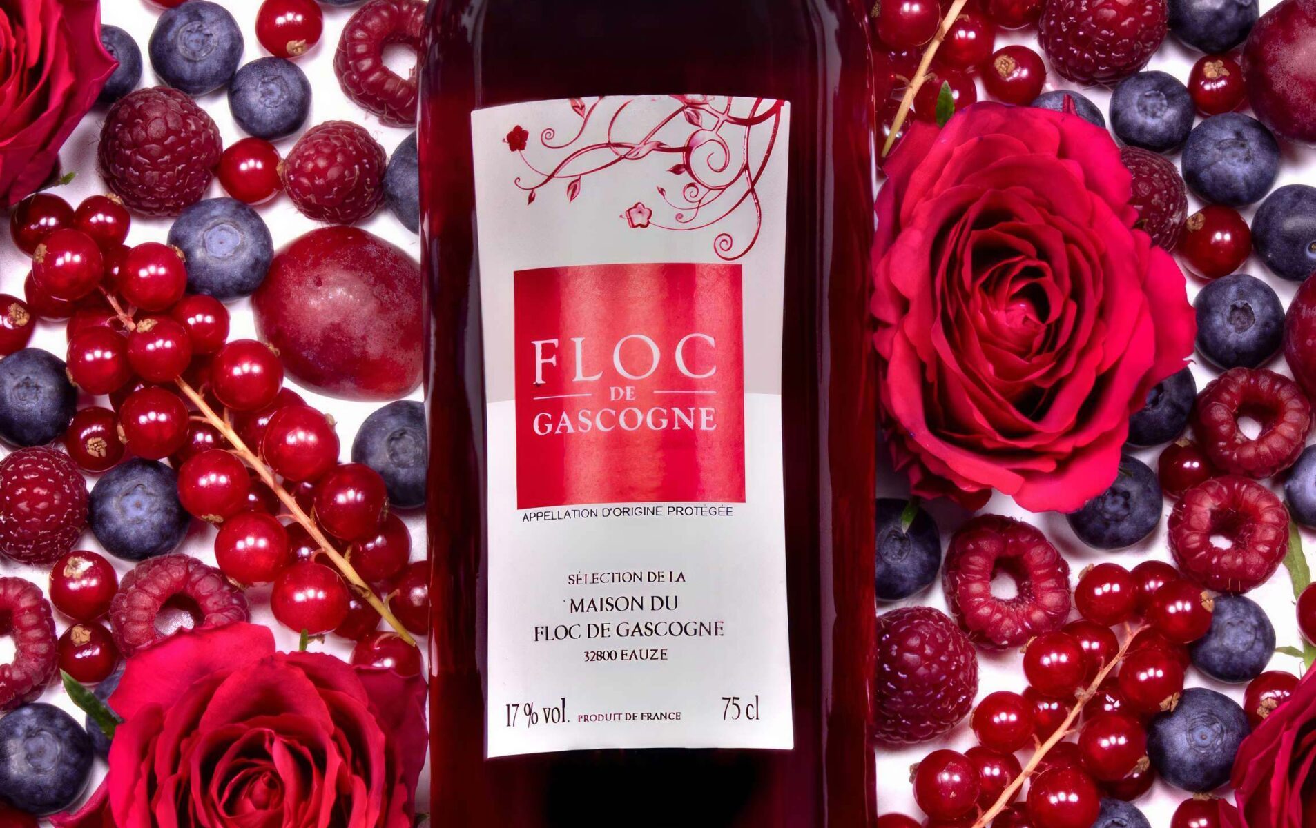 Floc-de-gascogne-odorat