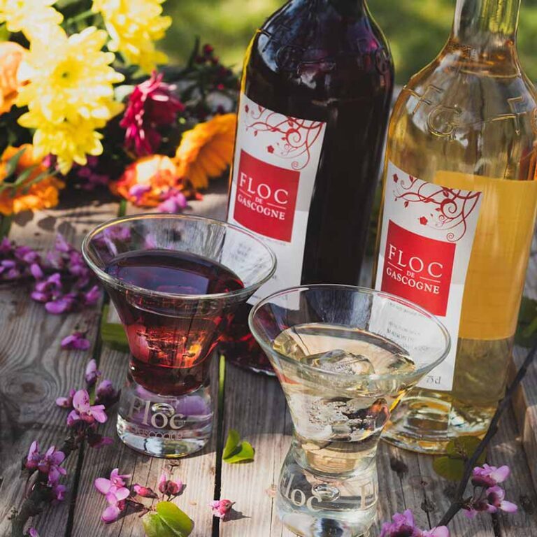 oenotourisme-floc-de-gascogne-degustation-domaine2