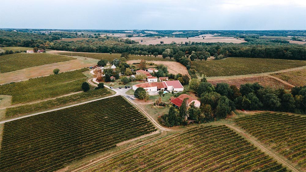 producteur-domaine-lahaille-floc-de-gascogne-vignes