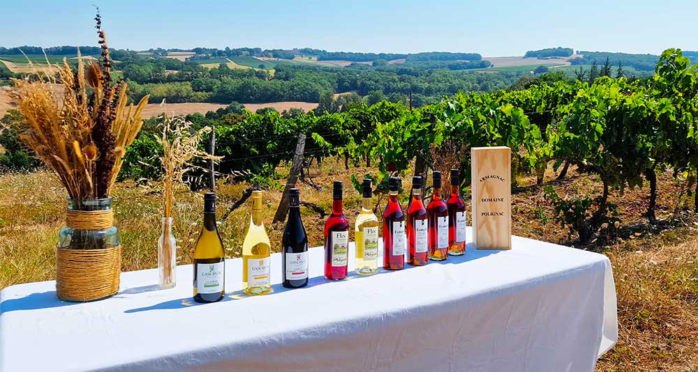 producteur-domaine-polignac-floc-de-gascogne-gamme
