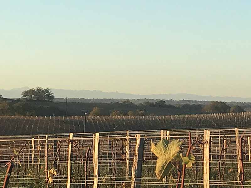 Domaine-de-Rome-Floc-Gascogne-hiver