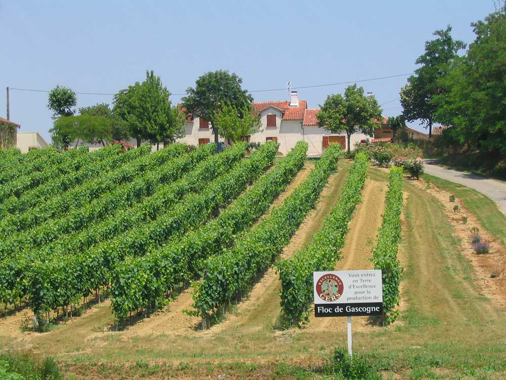 producteurs-les-3-domaines-gers-floc-de-gascogne